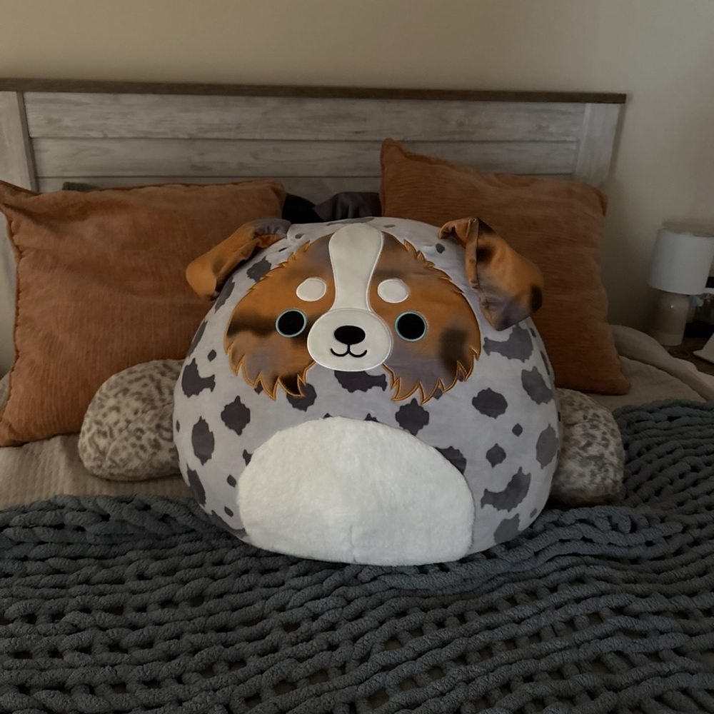 Australian shepherd squish mallow